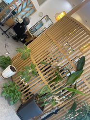 -章光101防脱养发荟