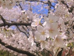 -苏州上方山国家森林公园