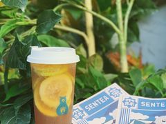 冻柠嫣红-SENTEA森茶(麦地丽日店)