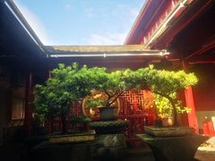 -普陀山风景区-佛顶山