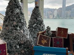 -海港城