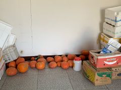 -小赖鱼馆