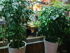 -牛信亭韩国料理·炭火烤肉(紫藤路店)