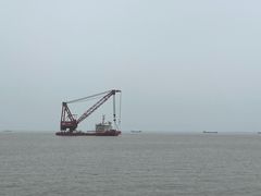 -上海滨江森林公园