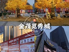 -金茂览秀城