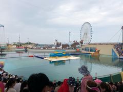 -秦皇岛乐岛海洋王国