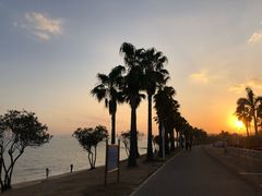 -黄金海岸环岛路