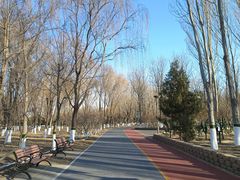 -大兴滨河森林公园