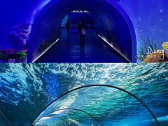 -泉城欧乐堡海洋极地世界