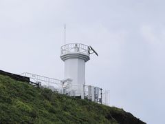 -涉地可支