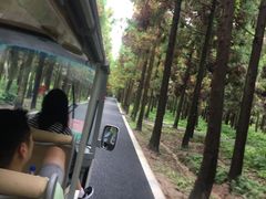 -东平国家森林公园