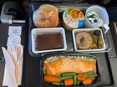 -新加坡航空公司(ION)