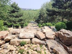 -莫子山公园