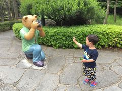 -济州岛泰迪熊博物馆