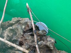 -上海大自然野生昆虫馆(东方明珠·爬宠昆虫探索中心)