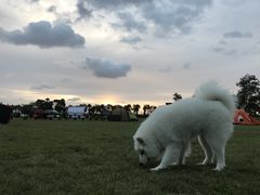 -春花秋色城市公园