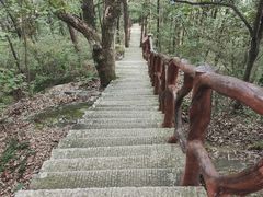 -罗田薄刀峰风景区