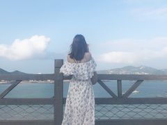 -枸杞岛