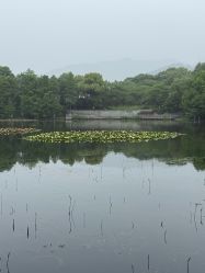 -爱你宝贝儿童摄影(西湖云端店)