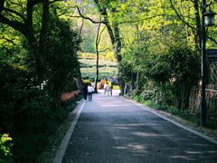 -法云古村