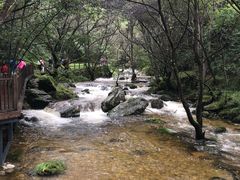 -牛背梁国家森林公园