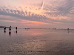 -南汇嘴观海公园