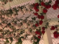 -红樱桃·欢乐餐厅(太原里店)