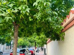 -天津五大道文化旅游区