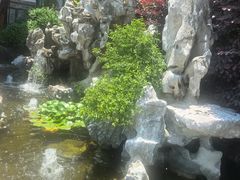 -呼吸森林·生态农庄农家乐私房菜