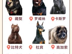 -立德动物医院·24小时中心(番禺区院区)