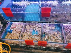 -金海湾海鲜排档(朱家尖店)
