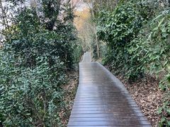 -上海佘山国家森林公园西佘山园