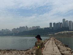 -菜园坝水果市场