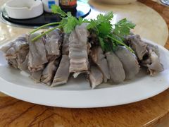 -三得正宗乌烈乳羊(环城东二路店)
