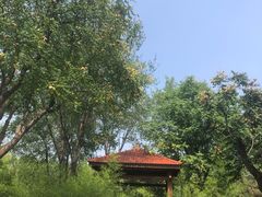 -燕郊植物园