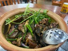 -华仔土鸡店(南洲分店)