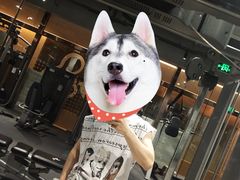 -健狗狗24小时智能自助健身房(龙湖重庆时代天街D馆店)