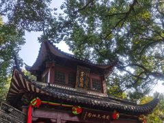 -杭州黄龙洞