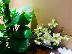 -菩提慧宾养生堂(梦幻亮点世界公园店)