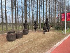 -上海长兴岛郊野公园