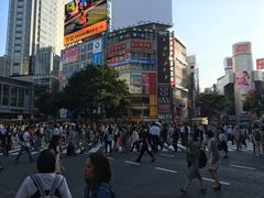 -涩谷全向十字路口