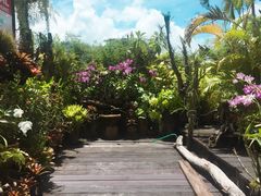 -自然餐厅(Phuket)