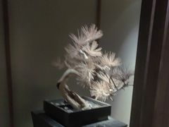 -浅深(北京北四环精品店)
