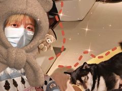 -逗柴咖啡屋·狗咖猫咖宠物桌游