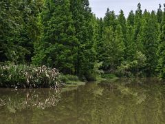 -桤木河湿地公园