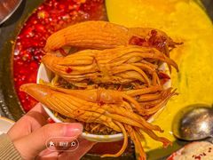 -朱光玉火锅馆(正弘城店)