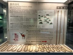-北京麋鹿生态实验中心