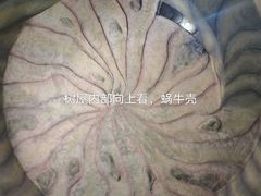 -上海月湖雕塑公园