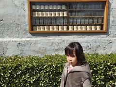 -春风习习