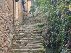 -杨家堂村